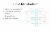 Lipid Metabolism - Western Oregon Universitywou.edu/~guralnl/gural/451Lipid Metabolism.pdf · Lipid Metabolism • Lipid nomenclature • Oxidation of Fatty acids • β-oxidation