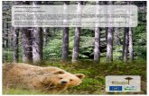 layman's 2012 - Σελίδες Internet · 2016-08-24 · Η διαχείριση των δασών γίνεται μέχρι σήμερα βάσει της Δασικής Νομοθεσίας
