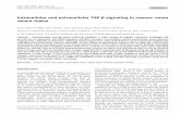 Intracellular and extracellular TGF-β signaling in cancer: some … · 2018-09-11 · Intracellular and extracellular TGF-β signaling in cancer: some recent topics Kohei Miyazono(