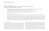 α1ATandTIMP-1GenePolymorphismin theDevelopmentofAsthmadownloads.hindawi.com/journals/ijg/2012/968267.pdf · TIMP-1 could be important genetic markers for use in better management