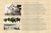 Β΄ Παγκόσμιος Πόλεμος (1939-1945) ΙΚΟΝΕΣ-ΚΑΙ-ΚΕΙΜΕΝΑ-ΓΙΑ... 28 Οκτωβρίου 1940. Ελληνοϊταλικός Πόλεμος Οι Ιταλοί