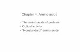 Chapter 4. Amino acids - - / · PDF file 2007-08-31 · Chapter 4. Amino acids • The amino acids of proteins • Optical activity • “Nonstandard” amino acids. Structure of