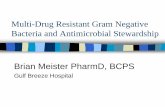 Multi-Drug Resistant Gram Negative Bacteria and ... ...

Multi-Drug Resistant Gram Negative Bacteria and Antimicrobial Stewardship Brian Meister PharmD, BCPS Gulf Breeze Hospital