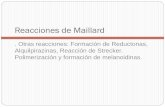 Degradación de Strecker - UNAMdepa.fquim.unam.mx/amyd/archivero/Carbohidratos-9_25562.pdf · Degradación de Strecker 1. Los compuestos dicarbonilicos de la reacción de Maillard