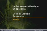 La Semana de la Ciencia en Chiapas 2012 Curso de Biología ... · PDF file Chiapas 2012 Curso de Biología Proteómica Yuri Peña San Cristóbal de las Casas, Chiapas Agosto de 2012