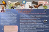 CYPRUS VOICE FOR ANIMALS ΦΩΝΗ ΓΙΑ ΤΑ ΖΩΑ ΤΗΣ ΚΥΠΡΟΥ · Εκστρατεία με στόχο ένα εκατομμύριο υπογραφές και αίτημα