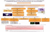 Marta Mir Ribas 4t Grau en Biologia · 2014-10-14 · cabdells neurofibril·lars en l’hipocamp Expressió de l’al·lel ε4 de l’ApoE característic de la malaltia d’Alzheimer