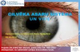 CILVĒKA ASARU SISTĒMA - Ergonomika · CILVĒKA ASARU SISTĒMA UN VIDE Optometriste, LU Docente Evita Kassaliete 05.10.2018 Projekts (Nr.2184) tiek īstenots, pateicoties SIA "Mikrotīkls"