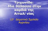 Τριχωνίδα: Μια θάλασσα στην καρδιά της Αιτωλ/νίαςkpe- · PDF file Στόχοι του Προγράμματος • Να αποκτήσουν