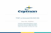 TNF-α (mouse) ELISA Kit - Home | Cayman Chemical1.2 ml of the streptavidin-HRP (Item No. 400853) to 10.8 ml Assay Buffer (12 ml total). This working solution is stable for 24 hours