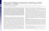 Roles of epithelial cell-derived periostin in TGF ... · Roles of epithelial cell-derived periostin in TGF-β activation, collagen production, and collagen gel elasticity in asthma