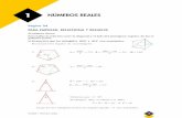 1 NÚMEROS REALES - Intergranadaselectividad.intergranada.com/Bach/mate1ccss/Anaya/01-Reales.pdf · Como x es una longitud, la solución válida es la positiva: x = Hallamos la razón