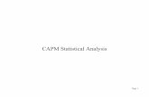 CAPM Statistical Analysisecon.rutgers.edu/paczkows/market/CAPMStatisticalAnalysis.pdfPage 7 Coding Sheet for CAPM Data Variable Possible Values Source Mnemonic Excess returns for an