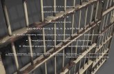 ΣΩΦΡΟΝΙΣΤΙΚΑ ΙΔΡΥΜΑΤΑ50lyk-athin.att.sch.gr/wp-content/uploads/projects/2012-2013/proj_b1_lyk.pdf · Οι κρατούμενοι διαβίωναν όλοι μαζί
