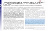 Transcriptional regulator Bhlhe40 works as a cofactor of T-bet in … · Transcriptional regulator Bhlhe40 works as a cofactor of T-bet in the regulation of IFN-γ production in iNKT