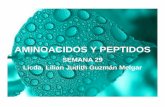 SEMANA 29 Licda. Lilian Judith Guzmán Melgar · 2019-08-12 · OXITOCINA • Fue la primera hormona sintetizada en el laboratorio • La hormona responsable del amor (de ser: felices,
