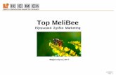 Παρουσίαση του PowerPoint · 2017-03-11 · 11/03/2017 Page 4 Top MeliBee, Εξαγωγές Μλιού ΙΙ. To Όραμα της Εταιρείας Να συμβάλλει