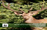 WWF ηλ Παγκόσμιο Ταμείο Αθήναeclass.teiion.gr/modules/document/file.php/ECO125/deer...4 ΕΙΣΑΓΩΓΗ Το Ελάφι ή Κόκκινο Ελάφι (Cervus