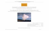 Γεωθερμία στην Κεντρική Μακεδονίαtkm.tee.gr/wp-content/uploads/2018/02/geothermy.pdfΓΕΩΘΕΡΜΙΑ ΣΤΗΝ ΚΕΝΤΡΙΚΗ ΜΑΚΕΔΟΝΙΑ Ομάδα