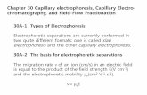 Chapter 30 Capillary electrophoresis, Capillary Electro- …busan2.thecube.kr/bbs/table/board/upload/Chapter30%28%BC... · 2017-12-04 · Chapter 30 Capillary. electrophoresis, Capillary