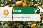 מצגת של PowerPointWhat is Levan? Levan is a naturally occurring bio-polymer –a polyfructose. Levan molecules are formed from sucrose by an enzymatic process. Typically structured