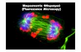 (Fluorescence Microscopy) · 2014-01-20 · »Confocal laser scanning microscopy, CLSM ... » FRAP (Fluorescence Recovery After Photobleaching)