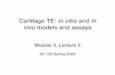 Cartilage TE: and in vivo models and assays...Lecture 5: conclusions • Antibodies to diverse targets (e.g., proteins) can be made and used for detection/measurement. • Trade-offs