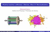Edmond Iancu InstitutdePhysiqueThéoriquedeSaclay · New Trends in High-Energy Physics Glasma, Flow & Thermalization Edmond Iancu 2 / 41 Nucleus-nucleuscollisions CERN IntroductiontoAAcollisions