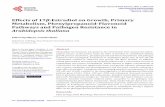 Effects of 17β-Estradiol on Growth, Primary Metabolism, Phenylpropanoid-Flavonoid ... · 2016-09-08 · gens on plant secondary metabolism and stress responses. In the present study,