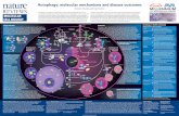 Autophagy: molecular mechanisms and disease outcomes · 2015-11-05 · Daniel J. Klionsky and Vojo Deretic Autophagy is a cytoplasmic, homeostatic process by which cells degrade their