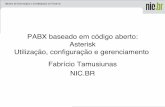 PABX baseado em código aberto: Asterisk Utilização ... · • p.e.: E1, T1, FXS • Internet – Permite que se utilize o sistema como um gateway para aplicações • Satélite