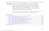 18 Co-Adsorption of the Proteins β-Casein and BSA in Relation to … · 2013-08-01 · Co-Adsorption of β-Casein and BSA in Relation to Liquid Films and Foams 443 second solution,