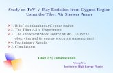 Study on TeV γRay Emission from Cygnus Region Using the Tibet …tevpa08.ihep.ac.cn/TEVPA08_pub/B326/0924b_session8/... · 2008-10-06 · Study on TeV γRay Emission from Cygnus