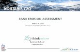 BANK EROSION ASSESSMENT - platform.think-nature.eu · BANK STABILITY AND TOE EROSION MODEL (BSTEM) in HEC-RAS BSTEM has been incorporated in HEC-RAS version 5.0 and specifically to