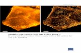 Introducing Lattice SIM for ZEISS Elyra 7 Structured ... · ZEISS Elyra 7 uses a quadratic lattice pattern for structured illumination microscopy. A simplified schematic of the beam