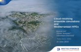 Cloud-resolving ensemble simulations and Mediterranean HPEs · PDF file Why do we need a cloud-resolving EPS? Cloud-resolving, non-hydrostatic NWP models produce very realistic forecasts
