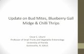 Blueberry Bud Mite...Blueberry bud mite (BBM) •Eriophyid mite •2 pairs of legs close to the head •Microscopic (200 μm) •Tapers toward the dorsal part of the abdomen ... mod