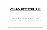 CHAPTER III - INFLIBNETshodhganga.inflibnet.ac.in/bitstream/10603/13985/8/08...# CHAPTER III # 62 factors and molecular collision frequency), Ea is the activation energy, R is the