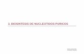 3. Biosintesis de nucleotidos puricosdiarium.usal.es/vgnunez/files/2012/11/3.-Biosintesis-de-Nucleotidos-Puricos.pdf · Sulfonamidas Análogos del ácido p-aminobenzoico (PABA) Inhibidores