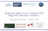Non-perturbative QED in a nutshell - Institut Néelperso.neel.cnrs.fr/serge.florens/docs/QuantumOptics.pdf · Non-perturbative QED in a nutshell What if αQED were much larger? Spectroscopists