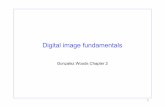 Digital image fundamentals - Università degli Studi di Verona · 2017-11-17 · Digital image fundamentals GonzalezWoods Chapter2 1. Visual and Imaging chain Optics Sampling (A/D)
