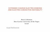 EXTENDED CHARGE ELECTRO-OSMOSIS AND ELECTRO …math.mit.edu/seminars/pms/data/uploads/2006fa/zaltzman_talk.pdf · EXTENDED CHARGE ELECTRO-OSMOSIS AND ELECTRO-CONVECTIVE INSTABILITY
