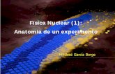 Física Nuclear (()1): Anatomía de un experimentoAnatomía de un … · I E M CSIC Densidad Nuclear & Asimetria Proton-Neutron Grupo de Física Nuclear Experimental No se puede mostrar