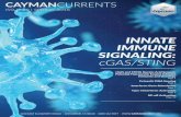 INNATE IMMUNE SIGNALING: cGAS/STING Immunity Signalling Cayman Currents...Page 1 Cytosolic DNA Sensing Page 5 Type I Interferon Activation Page 9 Interferon Gene Stimulation ... the