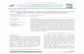 Phenotypic and molecular detection of metallo-β-lactamase ...jep.usb.ac.ir/article_4475_36e5571876a8  · PDF file Molecular detection of blaVIM, blaIMP and blaSPM-1 genes PCR amplification