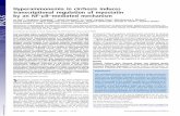 Hyperammonemia in cirrhosis induces Hyperammonemia in cirrhosis induces transcriptional regulation of myostatin by an NF-κB–mediated mechanism Jia Qiu a,1, Samjhana Thapaliya ,