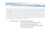 3.4 Immobilized Enzyme Systemscontents.kocw.or.kr/document/wcu/2011/04/Bioprocess03-4.pdf · 3.4.2.2 Immobilization in a Porous Matrix Assumption: •Enzyme is uniformly distributed.