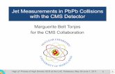 Jet Measurements in PbPb Collisions with the CMS Detector · Marguerite Tonjes (UMD) HPHD, Palaiseau, May 30 2011 Jet Measurements in PbPb Collisions with the CMS Detector Marguerite