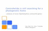 Centrohelida is still searching for a phylogenetic home · Centrohelida is still searching for a phylogenetic home-analyses of seven Raphidiophrys contractilisgenes-Inst. Biol. Sci.,