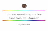 Índice numérico de los espacios de Banachmmartins/Curriculum/Charlas/2004... · 2013-03-27 · Espacios de Banach con índice numérico 0 Dimensión finita Ejemplo Existe un espacio